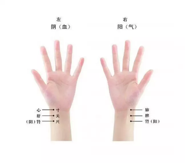 请输入图片描述